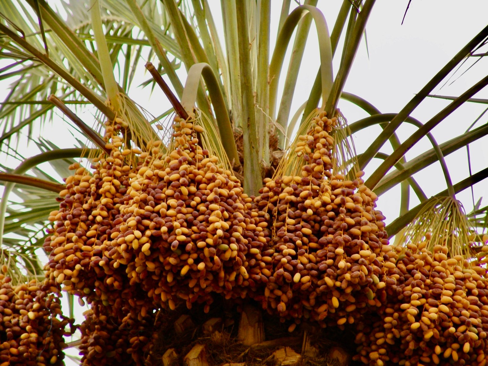 gıda saklama gıda saklama